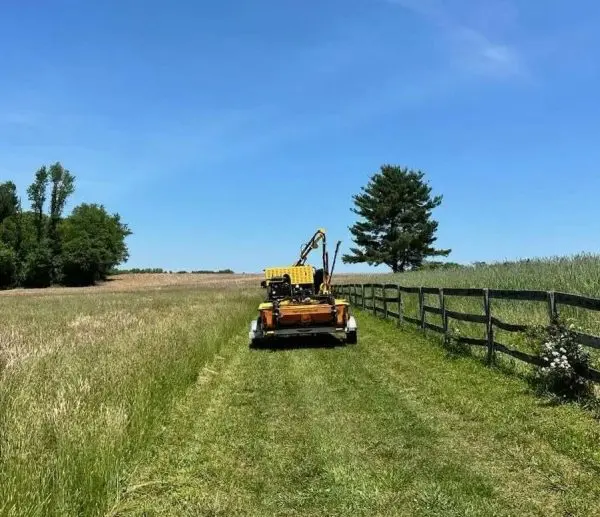 Custom Bush Hog Mowing