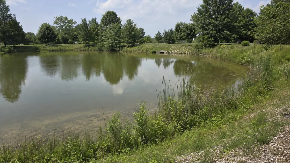 Commercial Pond Management 101: What You Need to Know