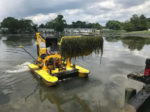 Yellow harvester removing invasive vegetation from waterway near residential area