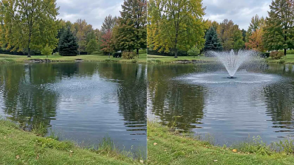 Pond Aerator vs Fountain: Which Is Right for Your Pond?