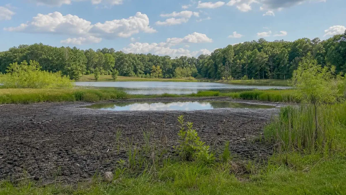 Pond Dredging Sediment Disposal: Everything You Need to Know