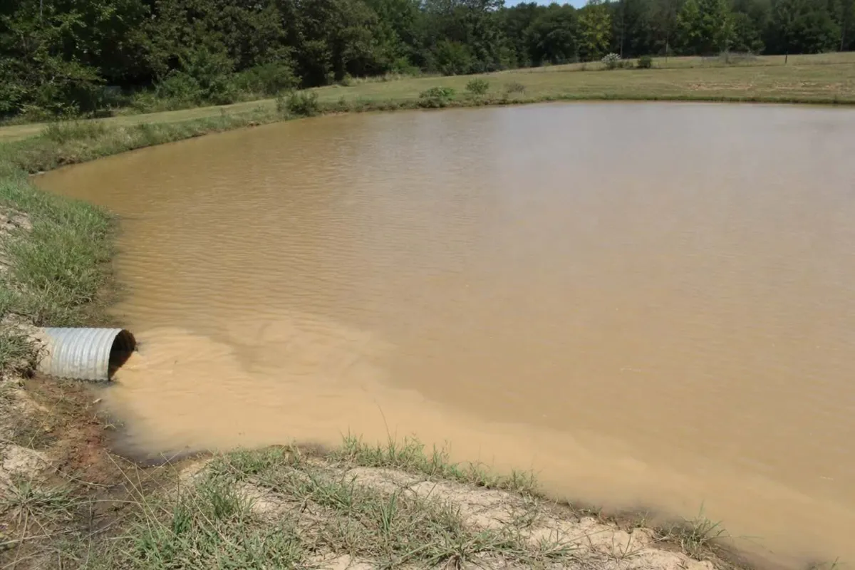 7 Signs Your Pond Needs Dredging Now: A Complete Guide