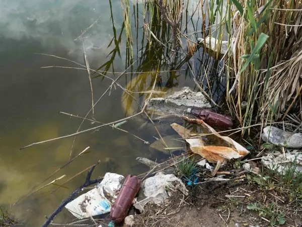 Trash and debris accumulated in a Maryland waterway