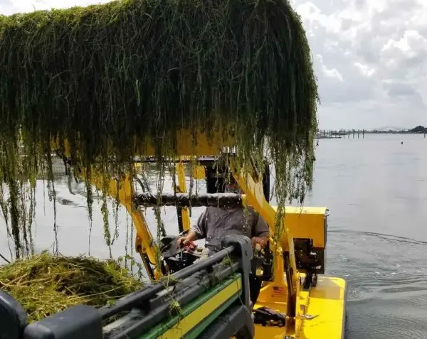 Aquatic vegetation management equipment on a Maryland waterway