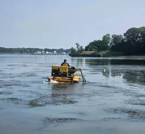 Legacy Waters operator on amphibious harvester cleaning a Maryland waterway